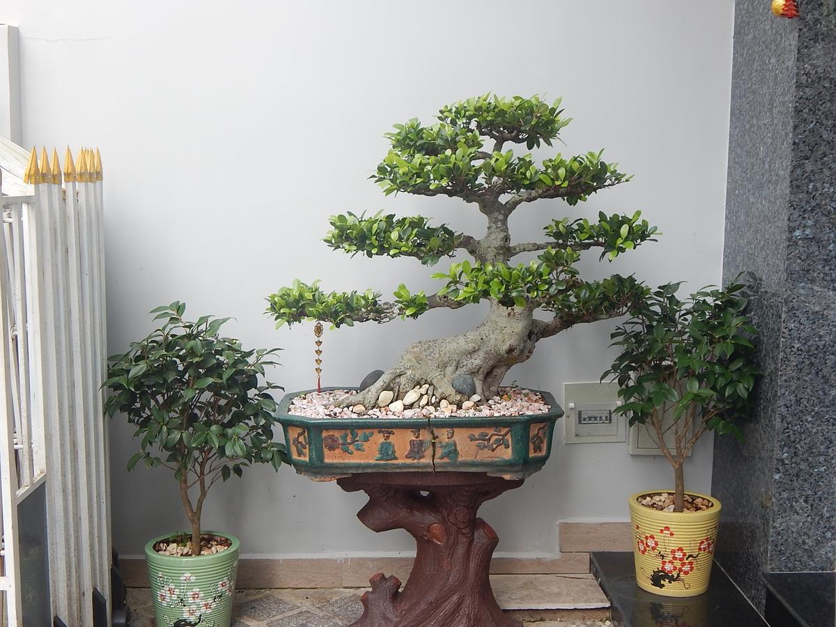 Dalat View Homestay מראה חיצוני תמונה